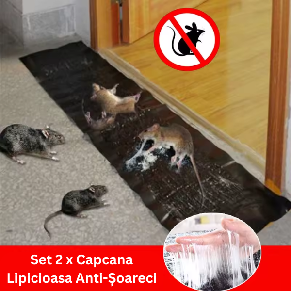 Set 2 x Capcana Lipicioasa Anti-Șoareci – Mare, Puternică, Ușor de Folosit